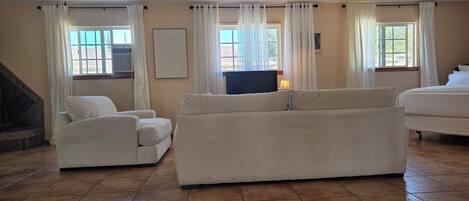 Smart TV, fireplace, video games, DVD player