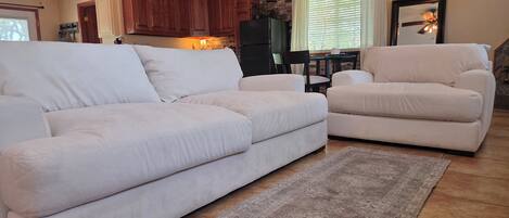 Smart TV, fireplace, video games, DVD player