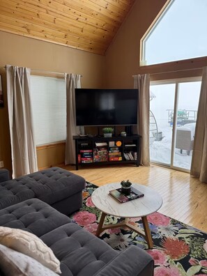 Smart-TV, DVD-spiller og bøker