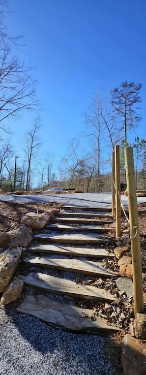 A wooden pathway leading through a natural setting with trees and a clear sky.