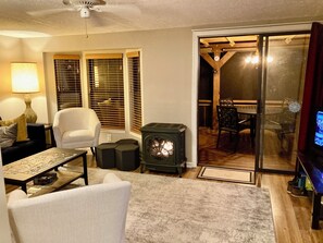 Smart TV, fireplace, DVD player, books