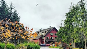 Un quartier résidentiel avec une maison rouge, une allée et deux cerfs qui broutent.