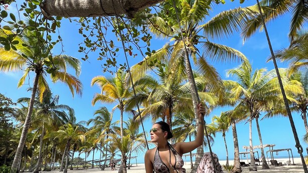 A person sitting on a swing under a tree on a beach with palm trees and a clear sky. - Santuario Sierra Sagrada (Santa Marta)