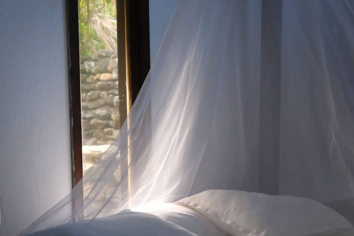 A bed with white linens and a mosquito net.