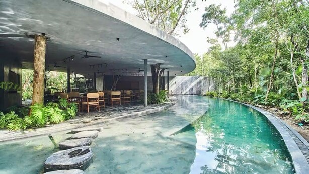 Pool - Cozy PH Private&romantic roof&pool best location (Tulum)