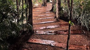 Property grounds - Cozy PH Private&romantic roof&pool best location (Tulum)