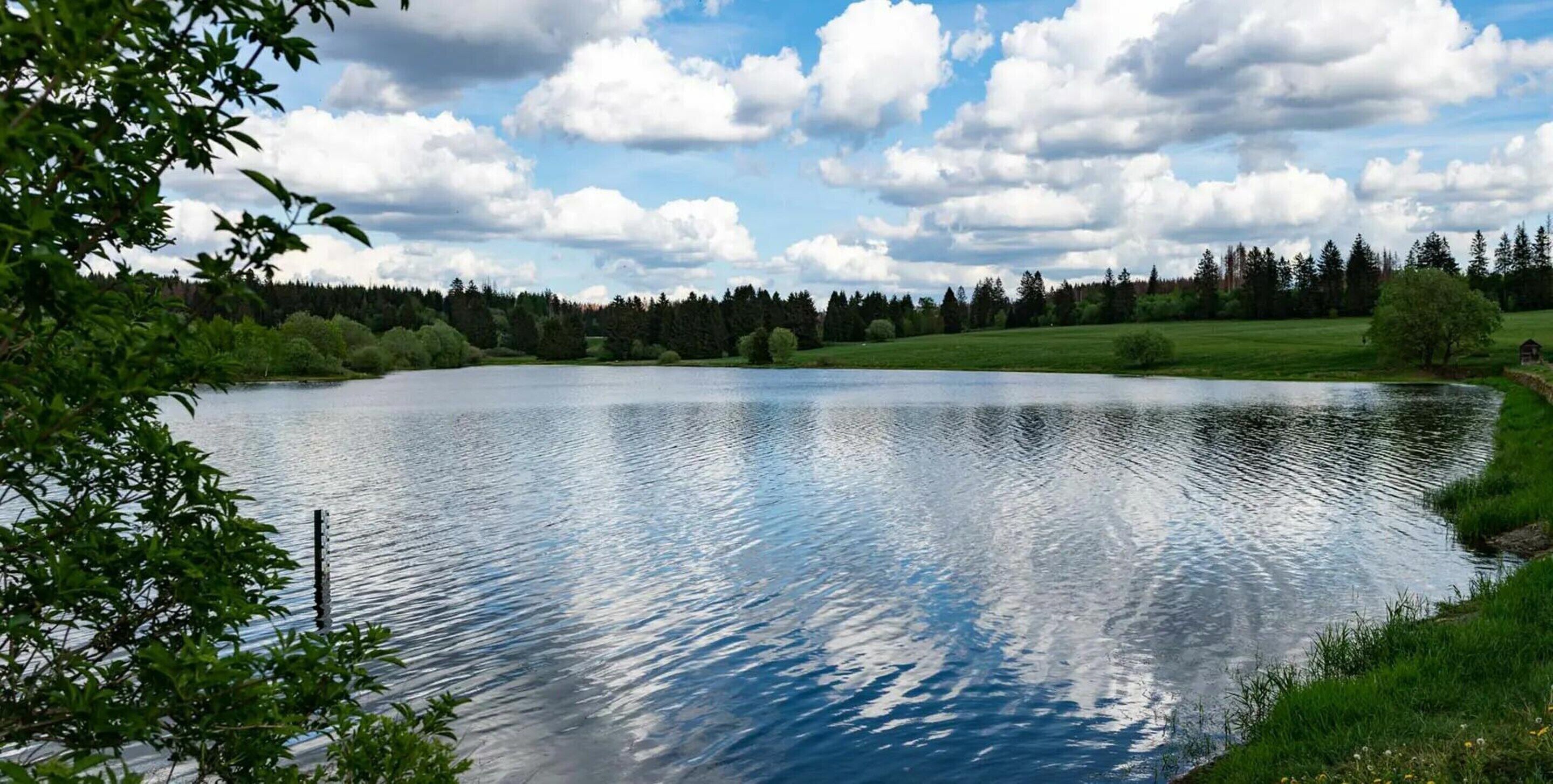 Ein ruhiger See, umgeben von viel Grün und Bäumen.