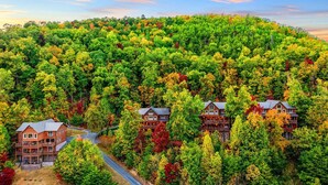 A lodge with multiple wooden cabins surrounded by dense forest.