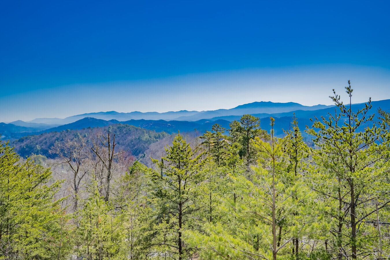 A mountainous landscape with dense forest in the foreground and distant mountains under a clear blue sky.