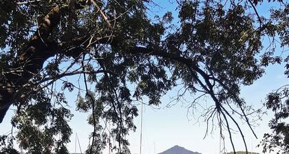 Self-contained flat in villa near EUREXPO Lyon, LDLC ARENA GROUPAMA STADIUM