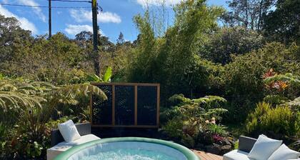 Pu'uwai Place in the heart of Volcano Village