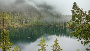 Een serene meer omringd door dicht bos en mist.