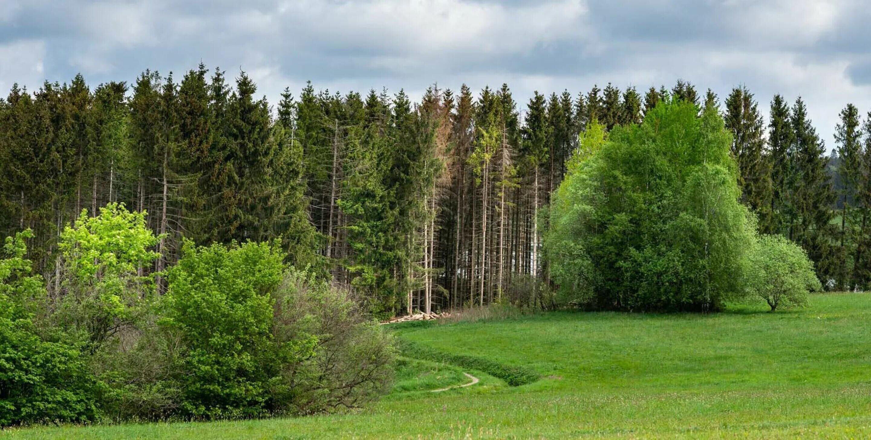 Ferienhaus | Blick von der Unterkunft