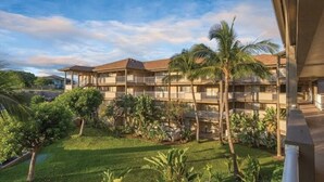 A multi-story hotel with balconies, surrounded by lush greenery and palm trees.