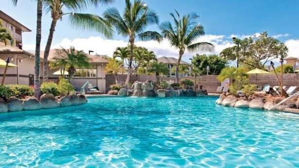 A clear blue pool surrounded by palm trees and lounge chairs, with a stone wall and a building in the background.