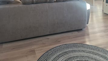 TV connectée, cheminée, livres