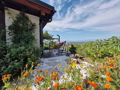 Vineyard Getaway with a jacuzzi
