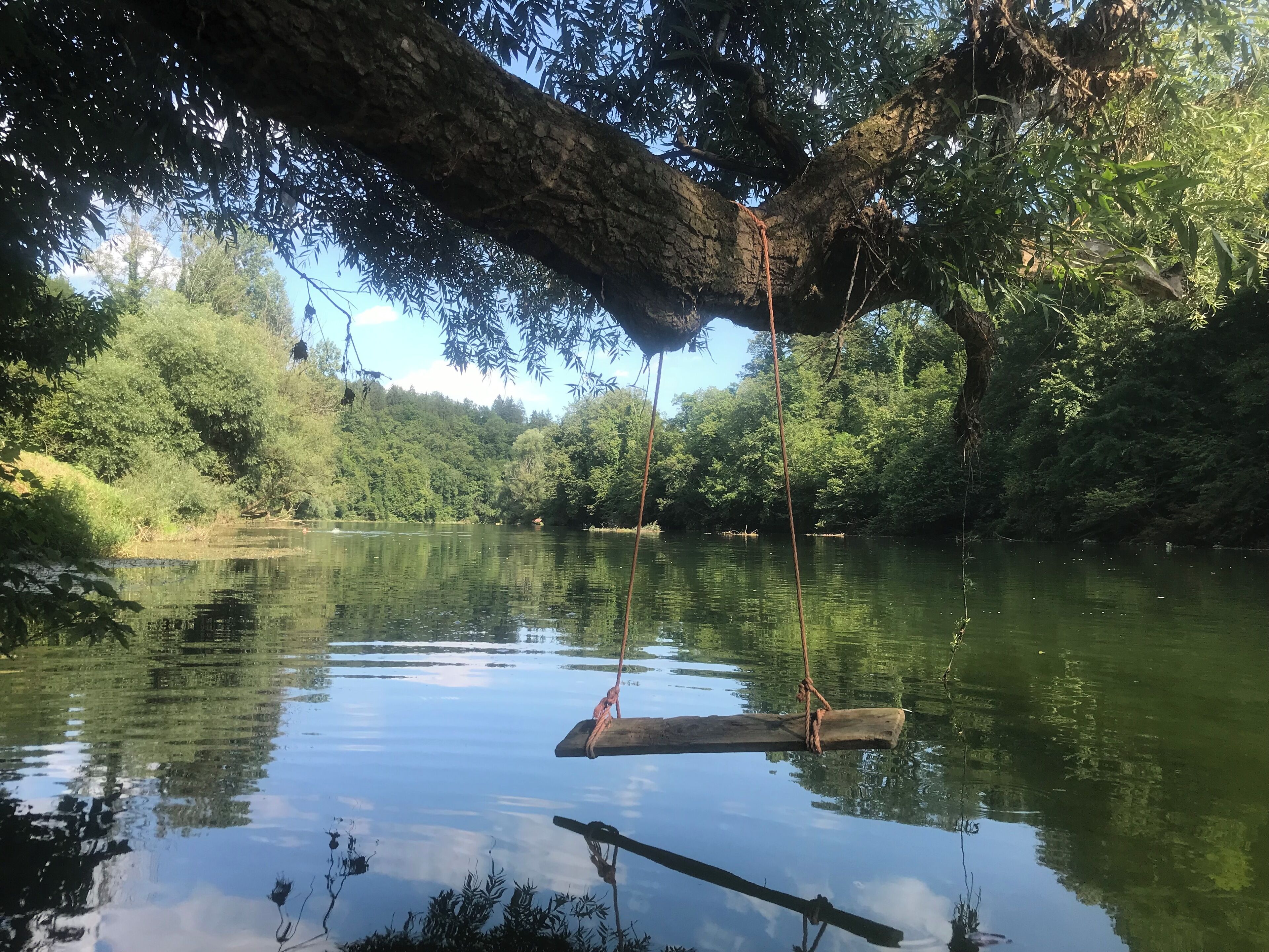 Een kalme rivier met een houten schommel die over het water hangt, omringd door weelderige begroeiing en bomen.