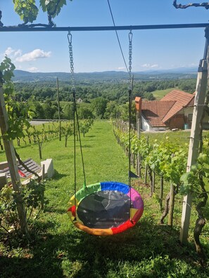 Property grounds - Vineyard Getaway with a jacuzzi (Metlika)