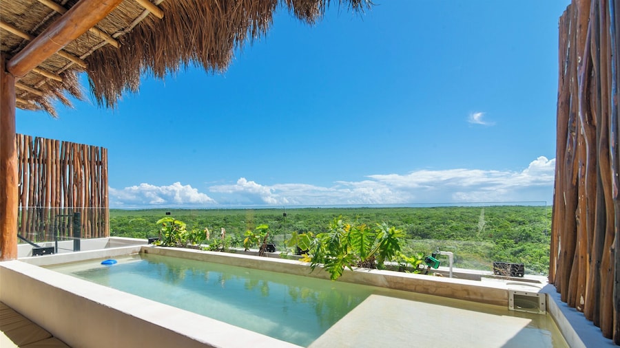 Luxury Jungle Condos by Casago