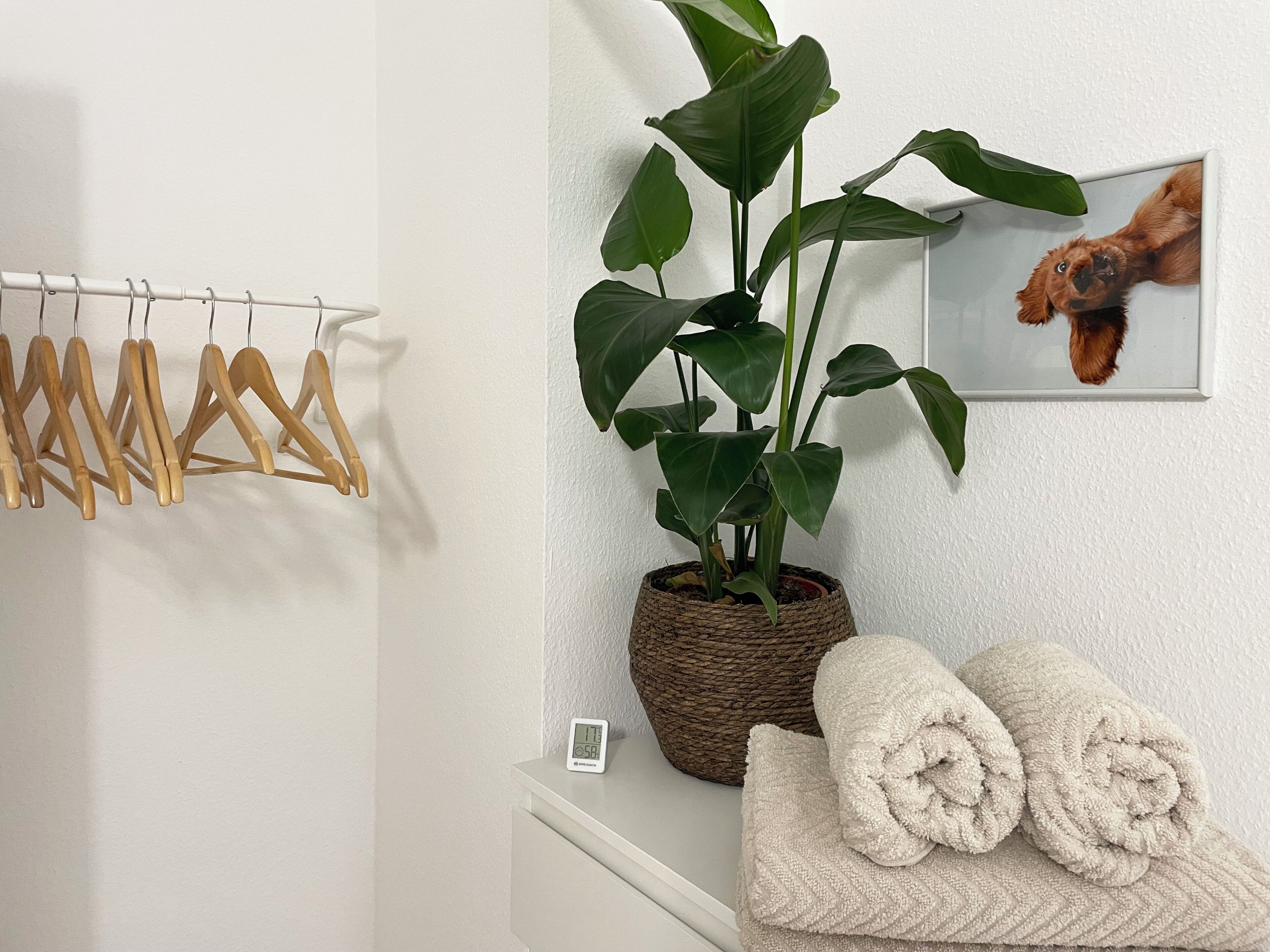 A bathroom with a wooden towel rack, a potted plant, a framed picture, and rolled towels on a shelf.