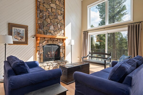 Smart TV, fireplace, video games, DVD player