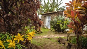 Un sendero en un jardín que lleva a una construcción rústica con un muro de piedra y una ventana.