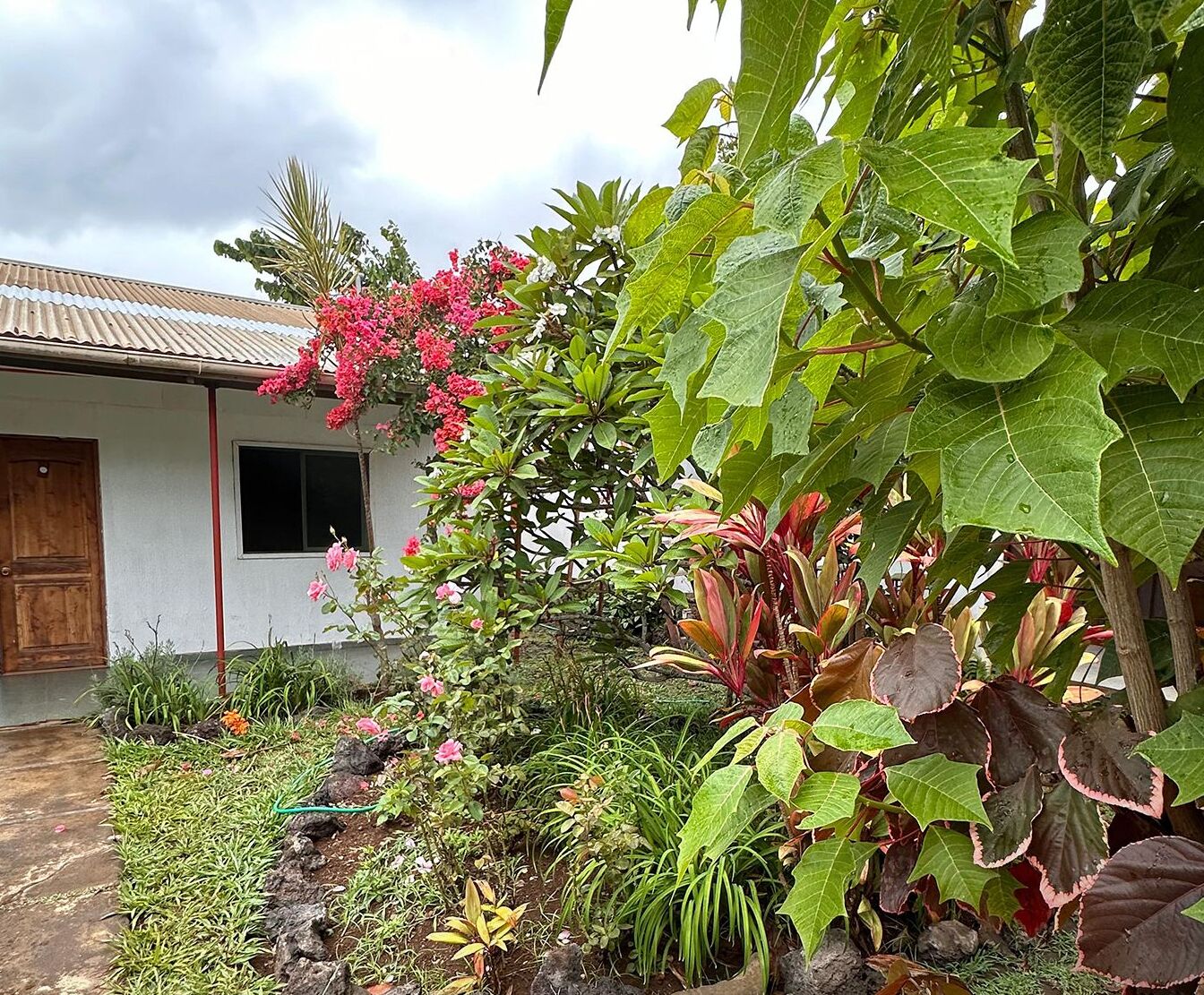 واجهة المنشأة