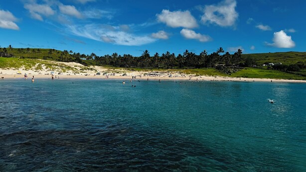 Una playa con agua azul cristalina, orilla de arena y palmeras al fondo.