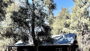A stone house with a satellite dish, surrounded by trees and a gravel driveway.