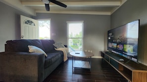 Smart TV, computer monitors