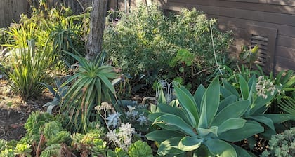 1BR in perfect Berkeley location -- patio & yard!
