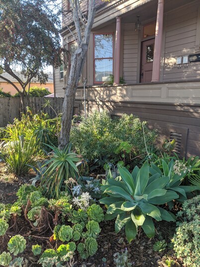 1BR in perfect Berkeley location -- patio & yard!