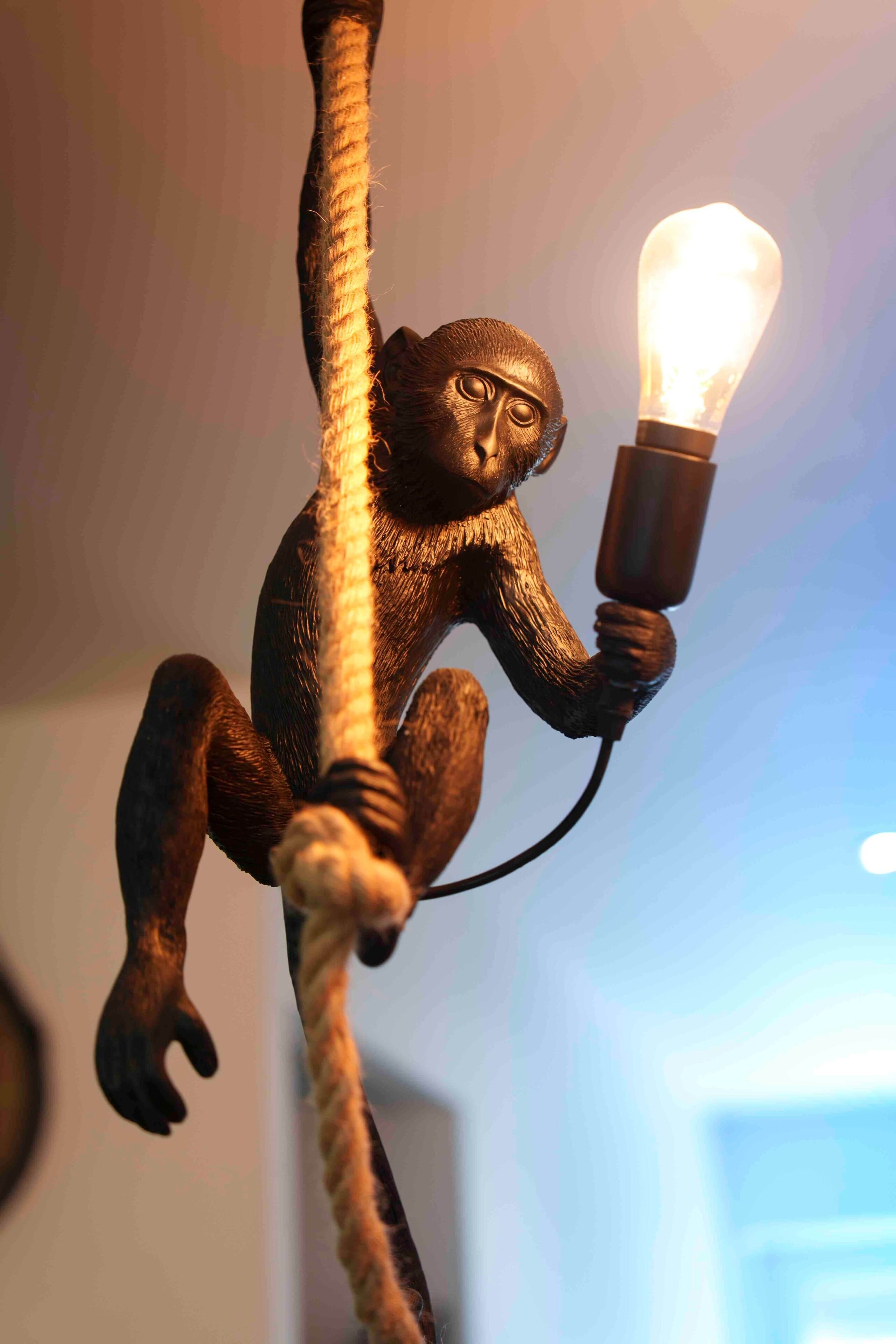 Une figurine de singe tenant une ampoule.
