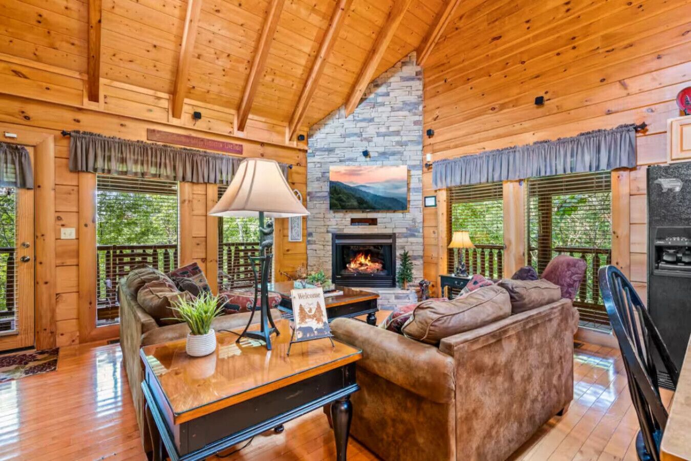 TV, fireplace, video games