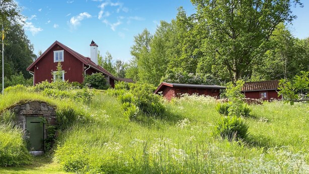 Une maison en bois rouge, avec une entrée en pierre et une petite cheminée, entourée d’une végétation luxuriante et de fleurs sauvages.