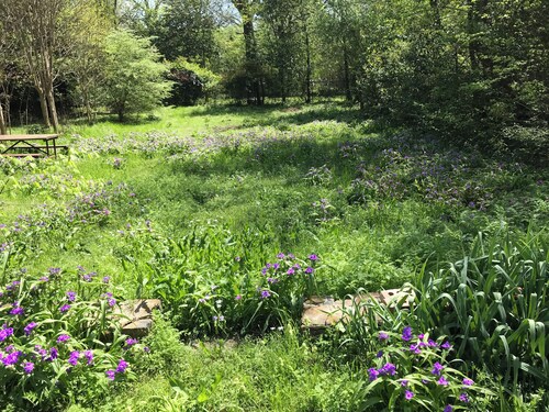 Hot Springs National Park Bungalow 5 minute drive to downtown and Bathhouse Row