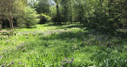 Hot Springs National Park Bungalow 5 minute drive to downtown and Bathhouse Row