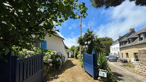 A narrow rural road with houses on either side, a blue gate, and a mailbox marked with the number 3.