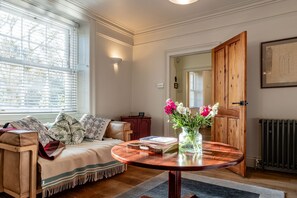 TV, fireplace, books
