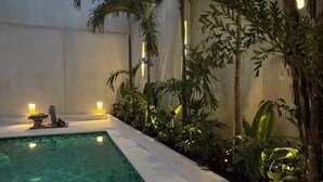Piscina con borde de baldosas, rodeada de palmeras y plantas, con luces empotradas en la pared.