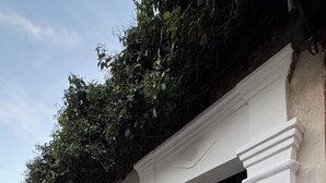 Un edificio con fachada blanca, una puerta negra y el número 3971 en un pilar.