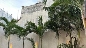 Una piscina con borde de baldosas, rodeada de plantas tropicales y un muro de hormigón con un depósito de agua en la parte superior.