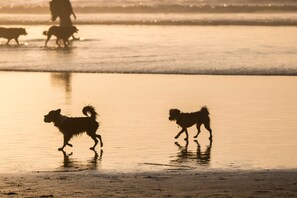 Plage à proximité
