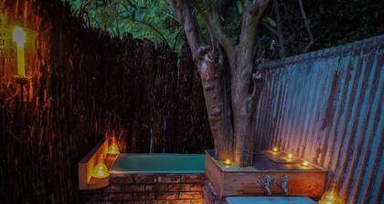 Beautiful Central City Villa - Whole House