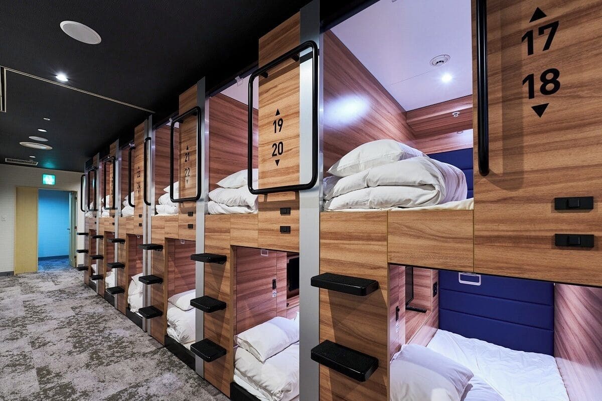 A row of bunk beds with individual numbers on the headboards, indicating room numbers.
