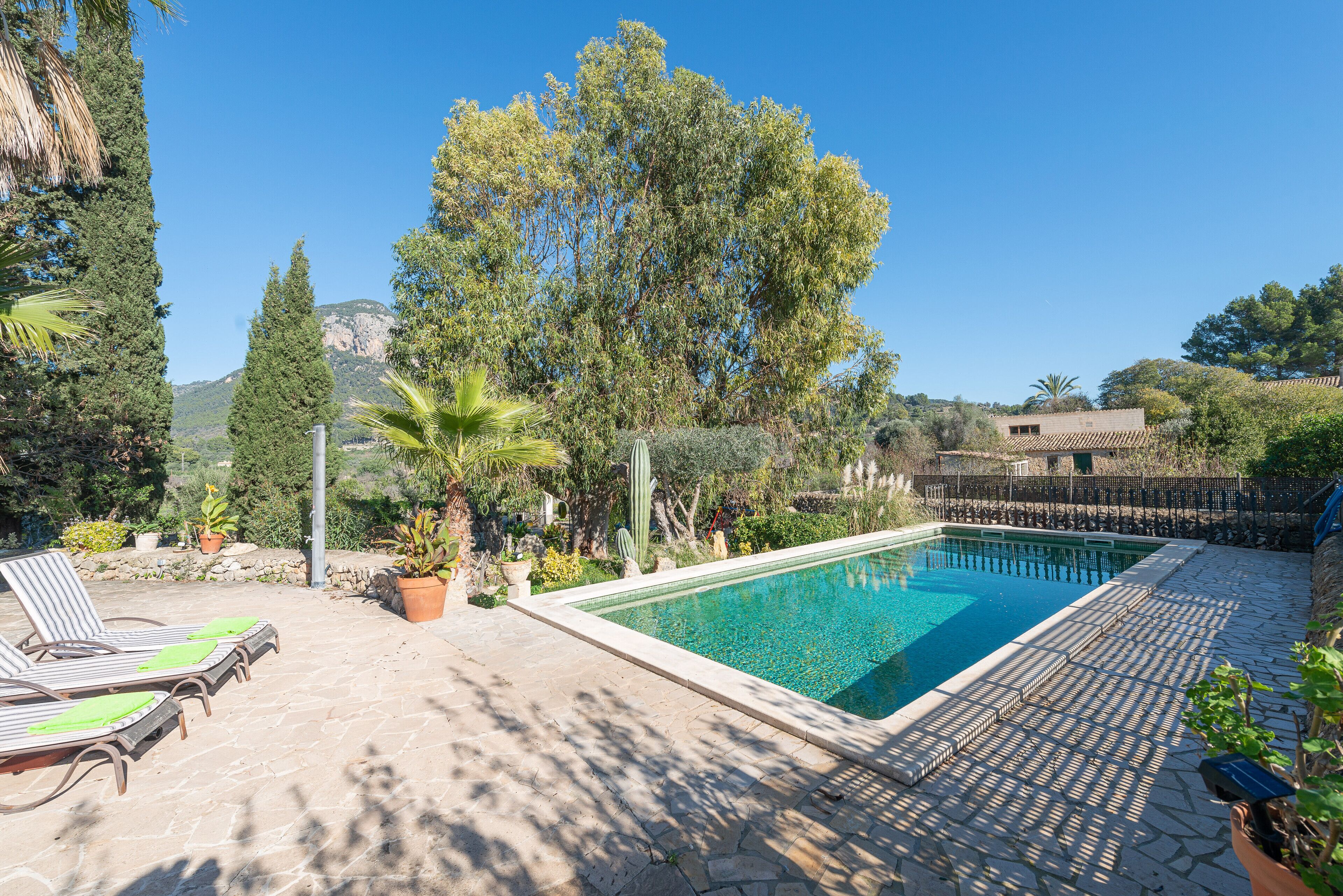 A swimming pool with lounge chairs, surrounded by potted plants and trees.