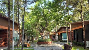 A pathway lined with trees and stone paving leading to a building with a covered entrance and a small garden area. - TheRabbithome (Nakhon Nayok)