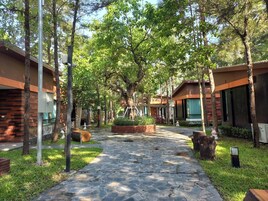 Room, Private Bathroom, Courtyard View | Laptop workspace, free WiFi