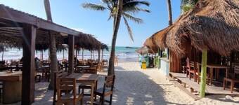 Hippie Chit Jungle Hotel